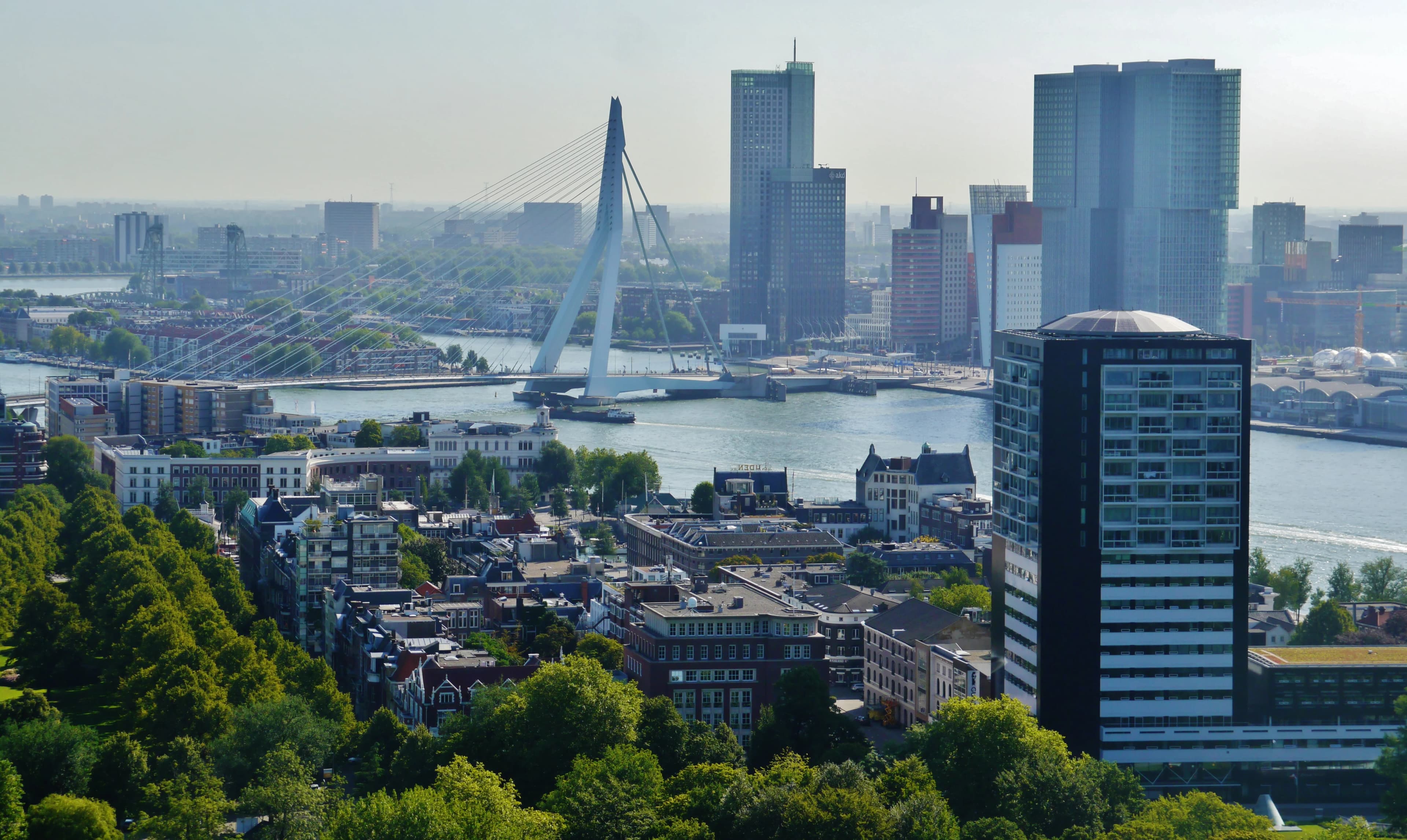 Rotterdam Marathon